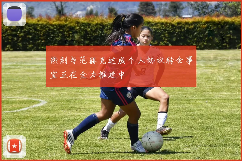 热刺与范赫克达成个人协议转会事宜正在全力推进中